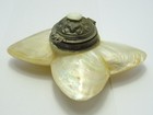 Antique Victorian Mother Of Pearl Butterfly Scent Perfume Holder Vinaigrette
