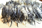 Hand Dyed Teeswater Raw Fleece Wool Locks Gray 1 Oz