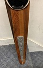 Vintage Murdock Wood Slalom Water Ski Also A Great As Decoration On Wall 