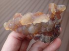 Botryoidal Fossil Coral Geode Fragment Ga Agate Amber Fluorescent Sea Gem Wc69