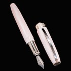 Visconti Michelangelo Fountain Pen - Venus Rose