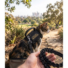 Escape Proof Cat Harness And Leash Set  Tactical Adjustable No Pull Vest Handle