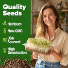 Broccoli Sprouting   Microgreens Seeds - 99 700 Non-gmo Heirloom