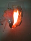 Vintage Conch Shell Lamp Nightlight Beachy Ocean Theme