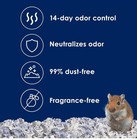Small Pet  Kaytee Clean   Cozy Extreme Odor Control Small Pet Bedding 40 Liters