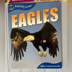 Animal Lives Book Set  Tigers Lions Eagles Photographs Fun Learning Soft Cover