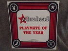 Rare Promo Zebrahead Lp Flat Poster Playmate Of The Year Punk Lit Reel Big Fish
