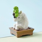 Rhinoceros Figure Bonsai Tosho Needle Juniper Rhino Animal Gashapon Capsule Toy