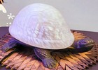 Vtg Turtle Lamp White frosted Glass Shell Cast Metal Body Base Night Light