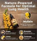 Respiclear All-natural Mullein Drops With Ginger   Lemon For Lung Cleanse And   