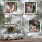 White Sage Smudge Sticks 4  Long - Burning Sage Bundle For Cleansing House -