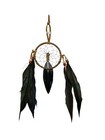 Wolf    Hand Painted Feather   3 dreamcatcher   Arts   Crafts  southwest Art