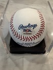Nomar Garciaparra Autographed Signed Rawlings Oml Baseball Jsa Coa holo