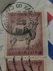    vintage    Lot Of 3 - South Africa  1956 Stamp - Foreign Stamps Collection