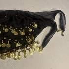 Belly Dance Hip Skirt Scarf Wrap Belt Gold Coins Dancing Costume 12 Colors