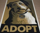 Shepard Fairey    adopt A Dog    Gold Variant  09 S n Art Poster Print - Obey Giant