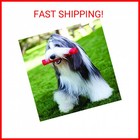 Kong - Squeezz Stick - Strong Squeaky Dog Toy  Squeaks Even If Punctured - For L