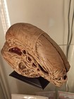 Alien   Xenomorph Newborn Bust   Statue