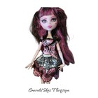 Monster High Exchange Student Draculaura 2008 With Outfit  No Shoes accessories