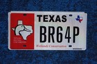 Texas Ducks Unlimited License Plate