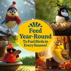 Peanut Delight Suet  11 75 Oz  Cake  Wild Bird Food  8 Count Value Pack  Fresh