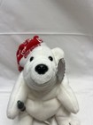 Vtg Coca Cola Coke White Night Cap Polar Bear Bean Bag Stuffed Animal 1998 Tags