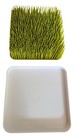 Boon Drying Rack