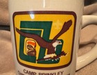 Vintage Boy Scouts Camp Brinkley Chief Seattle Council White Ceramic Eagle Mug