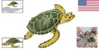 Charming Green Sea Turtle Figurine - Hand-painted 3 58  Model For Learning Play