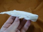 Whal-w134 Large Sperm Whale Of Shed Antler Figurine Bali Detailed Carving
