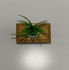 1 12 Scale Dollhouse Miniatures Plants Horticultural Accessories