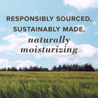 All Weather Spf 15 Lip Balm  Water-resistant Lip Moisturizer  Tint-free  Natural