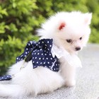 Dog Cat Lace Bow Harness Leash Set Small Pet Puppy Kitten Dress Vest