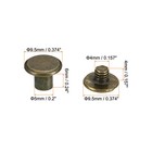50 Sets Chicago Screws  M5x6mm Brass Plated Chicago Screw Phillips  Brown