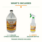 Eco Cln Citrus All-purpose Cleaner Concentrate 1 Gallon With Empty Spray Bottle