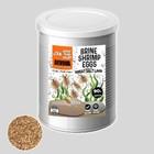 Brine Shrimp Eggs  artemia Cysts  Fresh Vacuum Sealed 425g Can Of 90  Hatch