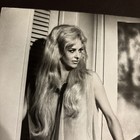Edy Williams Vintage Original Movie Still 8x10 Photo 1960s