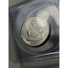  100  2x2 Double Pocket Vinyl Coin Flips Storage   Display -clear Plastic Holder