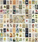 Vintage Postcard Set 100 4x6 Retro Botanical Ephemera For Mailing Collage Diy
