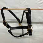 Weaver 1in Full Leather Track Halter Black Double Buckle Leather Adjustable