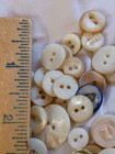 250 Vintage To Antique Mother Of Pearl Buttons 