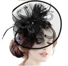 Black Feather Mesh Fascinator Veil Hat Clip Head Band Wedding Tea Cocktail Party