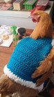Crocheted Chicken Sweater 5 Colors 4 Sizes Pet Clothes  Chicken Sweater  