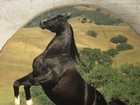 Vintage Black Horse Litho Wood Log Slice Art Wall Plaque Skyview Baptist Ranch