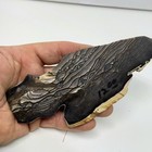 Rare- A Grade Blue Biggs Picture Jasper Lapidary Slab 