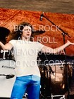 Rare 1977 Last Us Concert Led Zeppelin Robert Plant  8 5 X 11 Gorgeous Art Photo