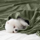 Fleece Blanket King Size Super Soft Flannel Throw Blanket Lightweight Fuzzy P   