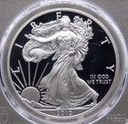 2010  w  Proof American Silver Eagle  1 Pcgs Pr69 Dcam  810 Ecc c  Inc 
