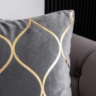 Gold Velvet Throw Pillow Covers  2 Pack 18x18 Inch Square Decorative Pillow Case