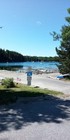Lobster Buoy - Weathered- Algerine Coast  Tremont  Maine